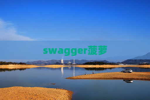 swagger菠萝